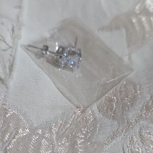 Elegant Silver Stud Earrings